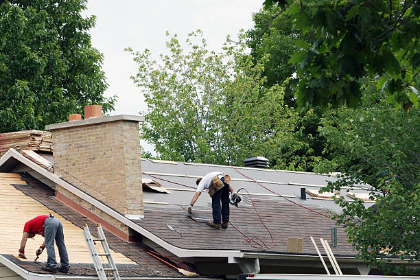 Best Roof Repair Services  in Oakley, UT