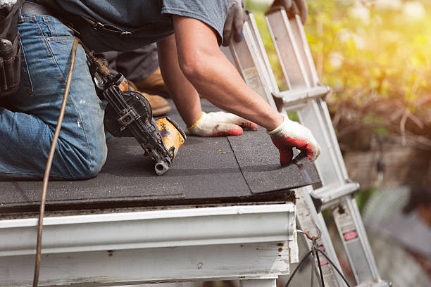 Best Roof Gutter Cleaning  in Oakley, UT